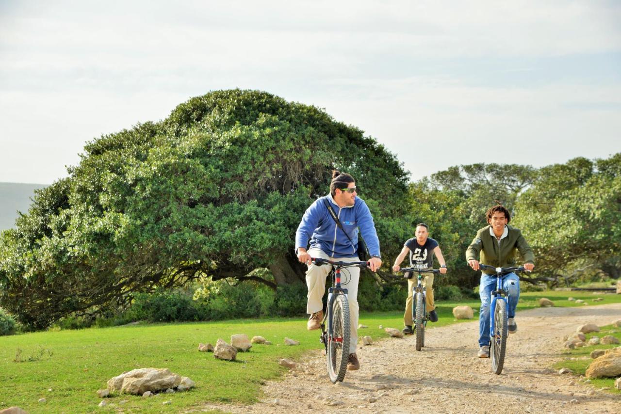 De Hoop Collection - Equipped Cottages De Hoop Nature Reserve Dış mekan fotoğraf