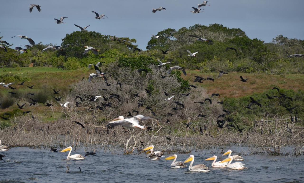 De Hoop Collection - Equipped Cottages De Hoop Nature Reserve Dış mekan fotoğraf